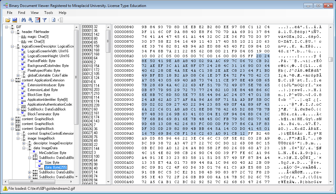 Miraplacid Data Viewer screenshot